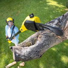 Artificial Turf Installation in Cornwall On Hudson, NY